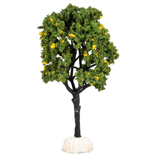 Albero di limoni altezza 15 cm