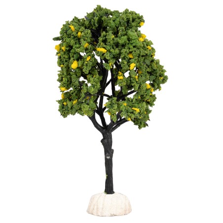 Albero di limoni altezza 15 cm