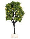 Albero di limoni altezza 15 cm