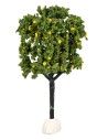 Albero di limoni altezza 15 cm