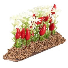 Pepper garden 6 cm for nativity scene Mondo Presepi 2