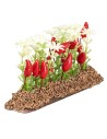 Huerto de pimientos 6 cm para belén Mondo Presepi