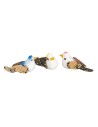 Set tre uccelli colorati 3 cm