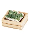 Wooden box with fennels cm 3x2,1,9h for Mondo nativity scene