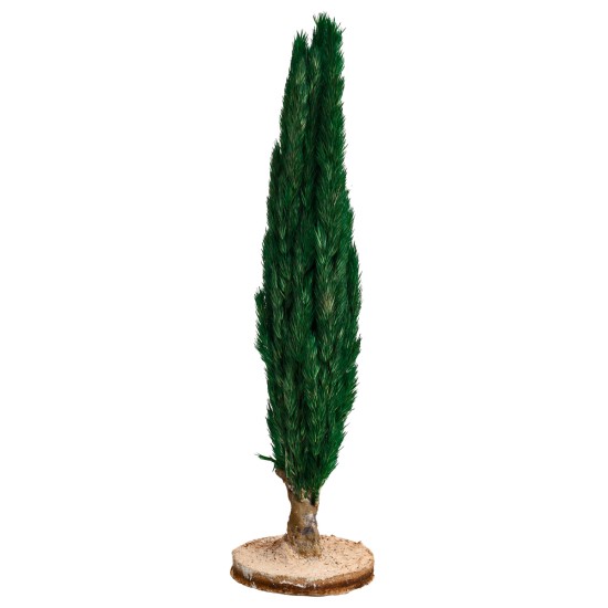 Cypress tree cm 15 h for nativity scene Mondo Presepi