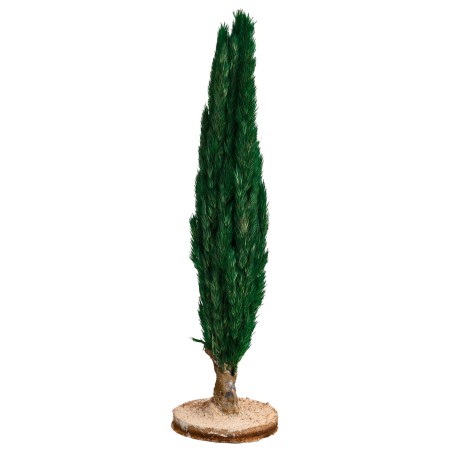 Albero di cipresso cm 15 h per presepe Mondo Presepi