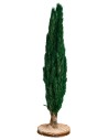 Árbol de ciprés h 15 cm