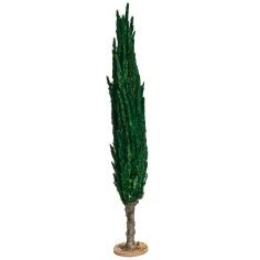Cypress tree h 30 cm for nativity scene Mondo Presepi