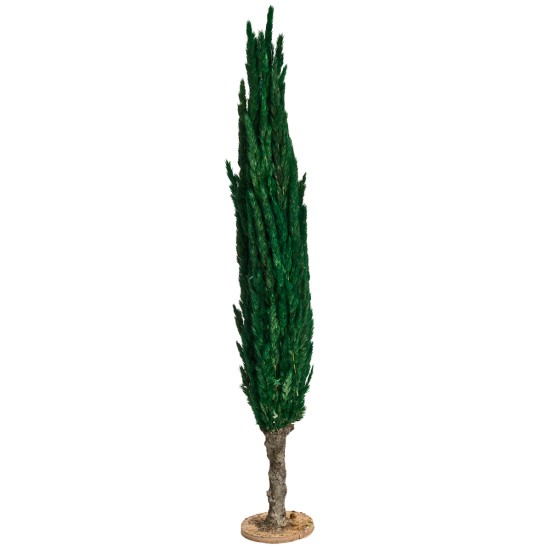 Cypress tree h 30 cm for nativity scene Mondo Presepi