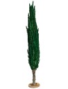 Albero di cipresso h 30 cm