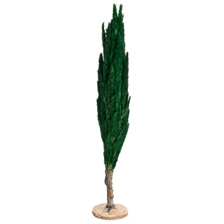 Albero di cipresso h 35 cm per presepe Mondo Presepi