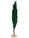 Cypress tree h 35 cm