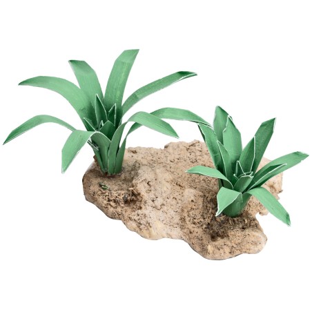 Gruppo di due Agavi modellabili 4 cm