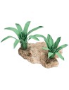 Grupo de dos Agaves modelables 4 cm