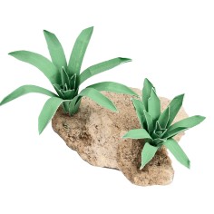 Gruppo di due Agavi modellabili 4 cm 2