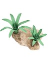 copy of Moldable Agave 5 cm for nativity scene Mondo Presepi