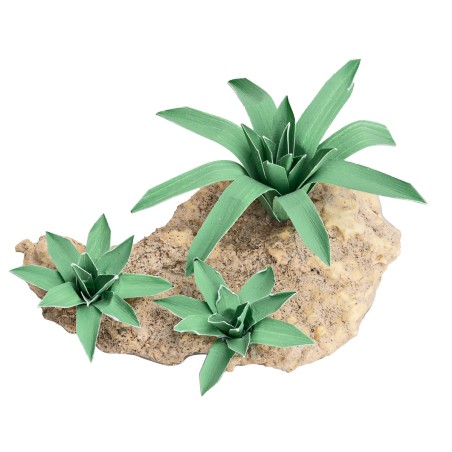 Group of three moldable Agaves h 4.4 cm for Mondo nativity scene