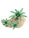 Gruppo di tre Agavi modellabili h 4,4 cm per presepe Mondo