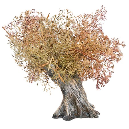Olive tree h 13 cm for nativity scene Mondo Presepi