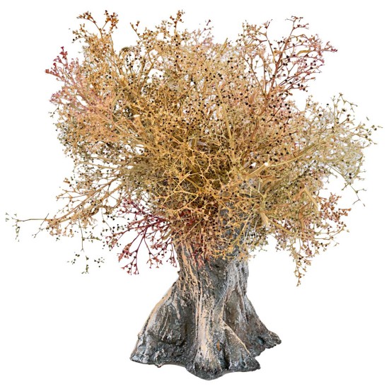 Olive tree h 13 cm for nativity scene Mondo Presepi