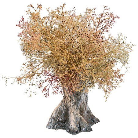 Olive tree h 13 cm for nativity scene Mondo Presepi