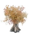 Albero d'ulivo h 13 cm per presepe Mondo Presepi