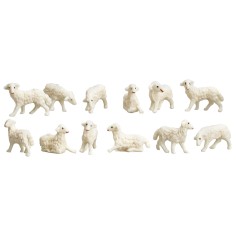 Set 12 ovejas en pvc serie Euromarchi para estatuas de 4 cm