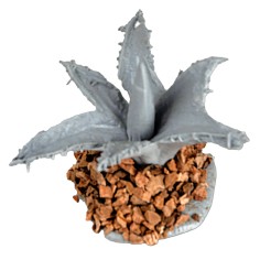 Small agave 3 cm for nativity scene Mondo Presepi 2
