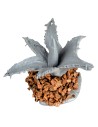 Pequeña agave de 3 cm para pesebre Mondo Presepi