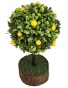 Lemon plant h 12 cm for nativity scene Mondo Presepi