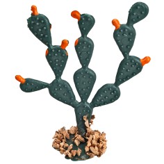 Prickly Pear h 6 cm for nativity scene World Nativity Scenes