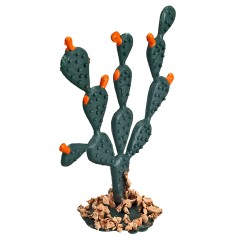 Higo chumbo h 6 cm para belén Mundo Pesebres 2