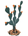 Prickly Pear h 6 cm for nativity scene World Nativity Scenes