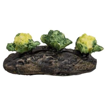 Little garden with cauliflowers for nativity scene World Nativity Scenes