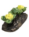Little garden with cauliflowers for nativity scene World Nativity Scenes