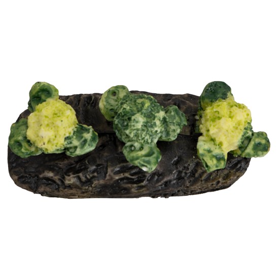 Little garden with cauliflowers for nativity scene World Nativity Scenes