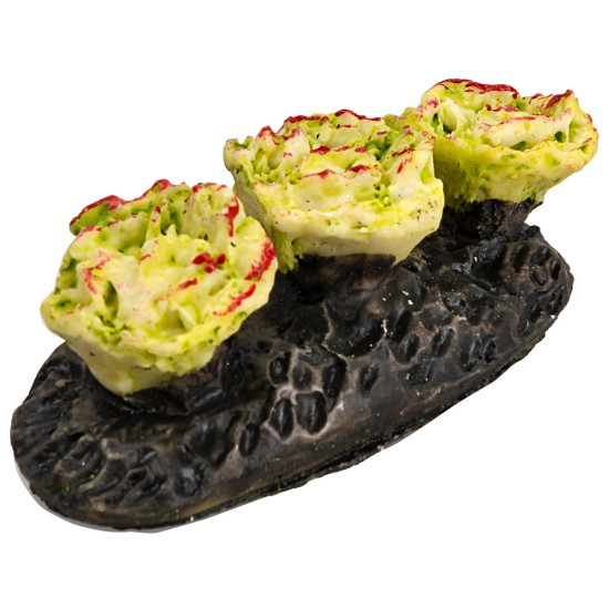 Huerto con col para belén Mondo Presepi