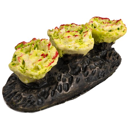 Orticello con verza per presepe Mondo Presepi