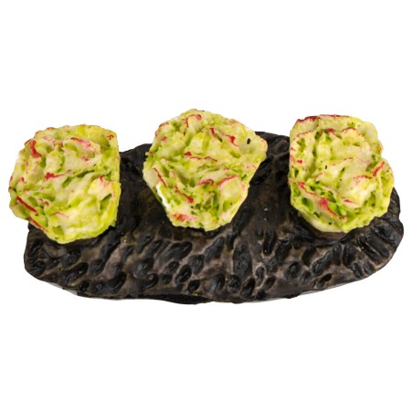 Orticello con verza per presepe Mondo Presepi