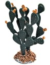 Thick Prickly Pear 6.2 cm for Nativity Scene Mondo Presepi