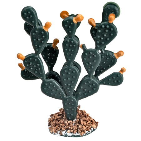 Thick Prickly Pear 6.2 cm for Nativity Scene Mondo Presepi