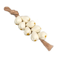 Garlic stump cm 5 for nativity scene World Nativity