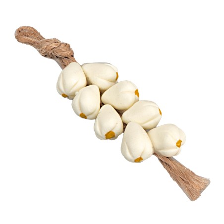 Ceppo d'aglio cm 5