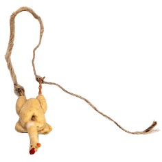 Pollo desplumado en resina para belén Mondo Presepi