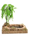 Estanque efecto profundidad con planta cm 12,5x8,5x14 h