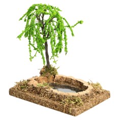 Laghetto effetto profondità con pianta cm 12,5x8,5x14 h per 2