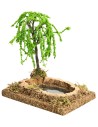 Estanque efecto profundidad con planta cm 12,5x8,5x14 h para
