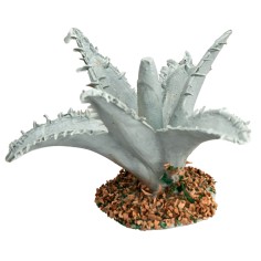 Agave cm 3 per presepe Mondo Presepi