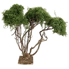 Branched tree for nativity scene h 21.5 cm for Mondo nativity scene