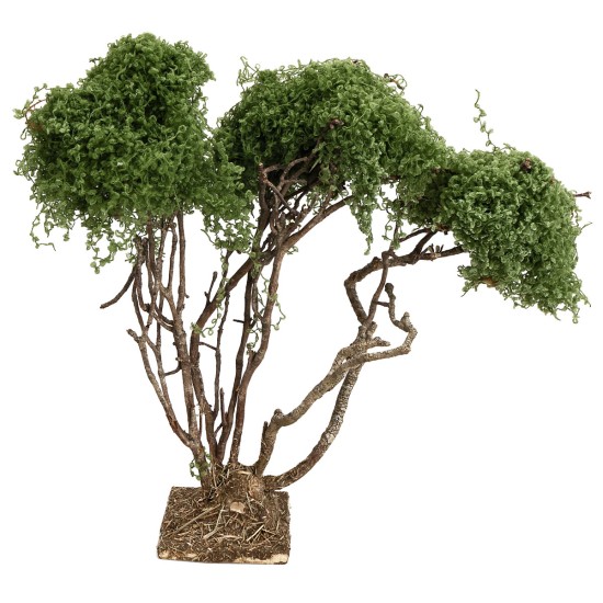 Branched tree for nativity scene h 21.5 cm for Mondo nativity scene